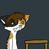 annoyingcat