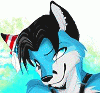 finnfox
