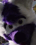 purplesheppie