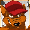 ravidwolf
