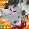 sparkthedalmation