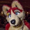 stormhusky