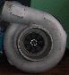 wolf400